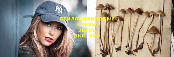 винт Алзамай