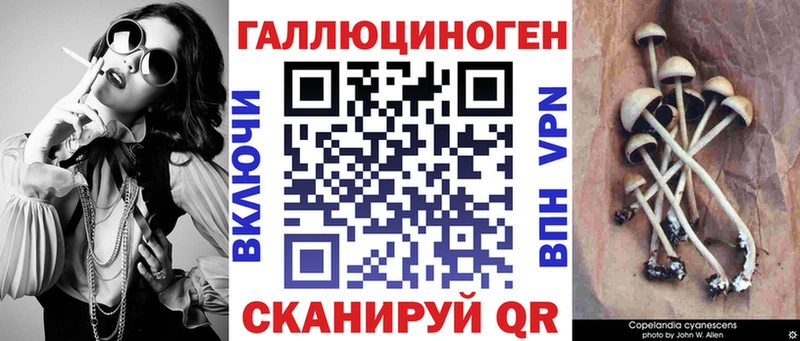Галлюциногенные грибы Psilocybine cubensis  Карабулак 
